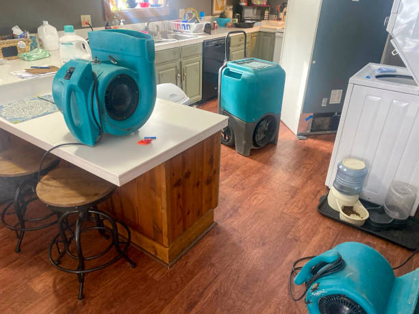 Best Local water damage restoration  in Haubstadt, IN