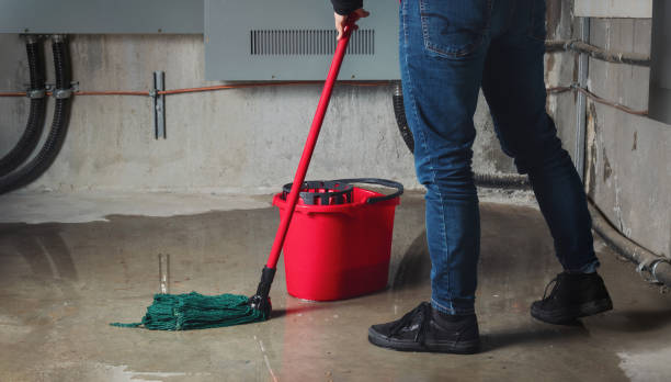 Best Water damage contractors near me  in Haubstadt, IN