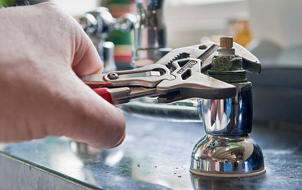 Best Flood restoration services  in Haubstadt, IN