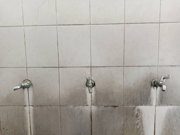 Best Ceiling water damage repair  in Haubstadt, IN