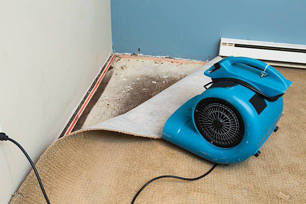 Water damage restoration mold remediation in Haubstadt, IN